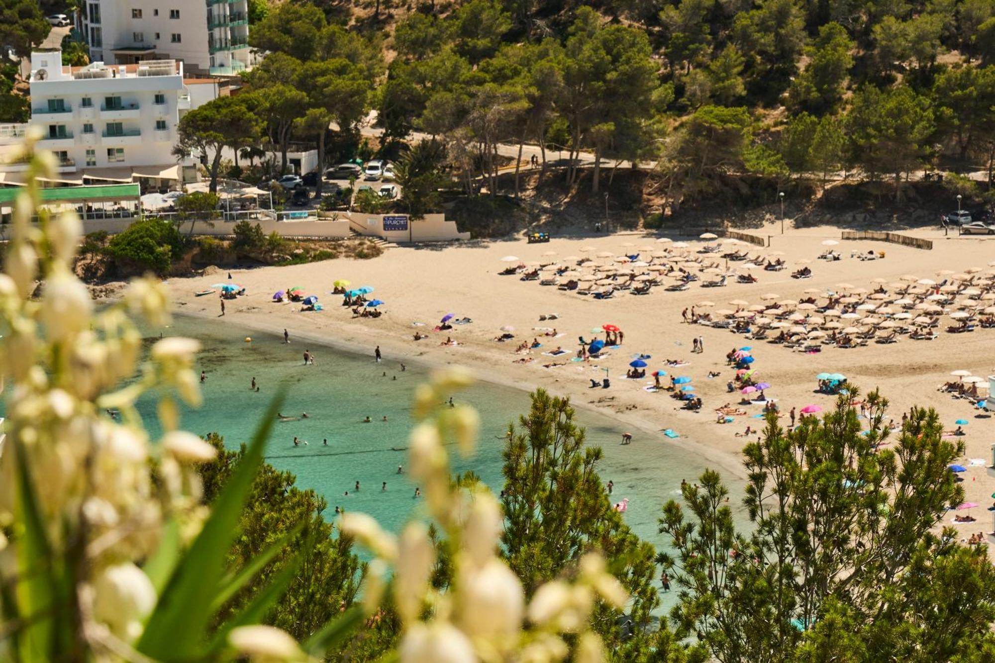 Catharina Maria * Cala Llonga (Ibiza)